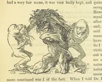 An illustration from Beeton's Historical Romances, Daring Deeds, and Animal Stories. Illustrated, etc (1871)
