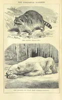 An illustration from Beeton's Historical Romances, Daring Deeds, and Animal Stories. Illustrated, etc (1871)