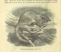 An illustration from Beeton's Historical Romances, Daring Deeds, and Animal Stories. Illustrated, etc (1871)