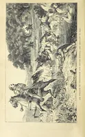 An illustration from Beeton's Historical Romances, Daring Deeds, and Animal Stories. Illustrated, etc (1871)