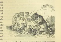 An illustration from Beeton's Historical Romances, Daring Deeds, and Animal Stories. Illustrated, etc (1871)