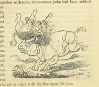 An illustration from Beeton's Historical Romances, Daring Deeds, and Animal Stories. Illustrated, etc (1871)