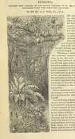An illustration from Beeton's Historical Romances, Daring Deeds, and Animal Stories. Illustrated, etc (1871)