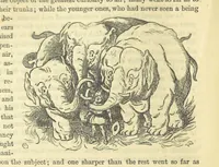 An illustration from Beeton's Historical Romances, Daring Deeds, and Animal Stories. Illustrated, etc (1871)