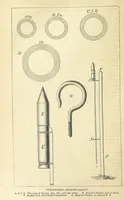 Picture 157 of 233 from Beeton's Historical Romances, Daring Deeds, and Animal Stories. Illustrated, etc (1871), leaf 860