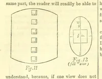 Picture 164 of 233 from Beeton's Historical Romances, Daring Deeds, and Animal Stories. Illustrated, etc (1871), leaf 900