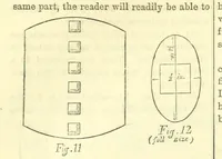 Picture 174 of 233 from Beeton's Historical Romances, Daring Deeds, and Animal Stories. Illustrated, etc (1871), leaf 904
