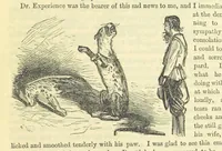 An illustration from Beeton's Historical Romances, Daring Deeds, and Animal Stories. Illustrated, etc (1871)
