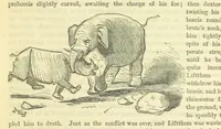 An illustration from Beeton's Historical Romances, Daring Deeds, and Animal Stories. Illustrated, etc (1871)