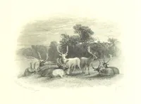 An illustration from Art and Song. A series of original ... engravings from masterpieces of art of the nineteenth century accompanied by a selection of the choicest poems in the English language. Edited by R. Bell (1892)