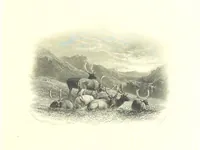An illustration from Art and Song. A series of original ... engravings from masterpieces of art of the nineteenth century accompanied by a selection of the choicest poems in the English language. Edited by R. Bell (1892)
