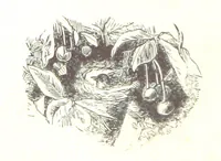 An illustration from The Old World in its New Face. Impressions of Europe in 1867-1868. vol. 1 (1868)