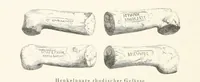 Picture 29 of 206 from Die Insel Rhodus, aus eigener Anschauung und nach den vorhandenen Quellen historisch, geographisch, archäologisch, malerisch beschrieben und durch Originalradirungen und Holzschnitte nach eigenen Naturstudien und Zeichnungen illustrirt. F.P (1862), leaf 108