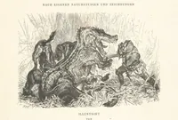 An illustration from Die Insel Rhodus, aus eigener Anschauung und nach den vorhandenen Quellen historisch, geographisch, archäologisch, malerisch beschrieben und durch Originalradirungen und Holzschnitte nach eigenen Naturstudien und Zeichnungen illustrirt. F.P (1862)