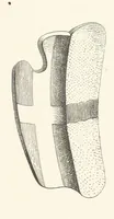 Picture 59 of 206 from Die Insel Rhodus, aus eigener Anschauung und nach den vorhandenen Quellen historisch, geographisch, archäologisch, malerisch beschrieben und durch Originalradirungen und Holzschnitte nach eigenen Naturstudien und Zeichnungen illustrirt. F.P (1862), leaf 199