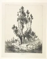 An illustration from Die Insel Rhodus, aus eigener Anschauung und nach den vorhandenen Quellen historisch, geographisch, archäologisch, malerisch beschrieben und durch Originalradirungen und Holzschnitte nach eigenen Naturstudien und Zeichnungen illustrirt. F.P (1862)