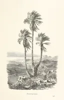 An illustration from Die Insel Rhodus, aus eigener Anschauung und nach den vorhandenen Quellen historisch, geographisch, archäologisch, malerisch beschrieben und durch Originalradirungen und Holzschnitte nach eigenen Naturstudien und Zeichnungen illustrirt. F.P (1862)
