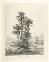 An illustration from Die Insel Rhodus, aus eigener Anschauung und nach den vorhandenen Quellen historisch, geographisch, archäologisch, malerisch beschrieben und durch Originalradirungen und Holzschnitte nach eigenen Naturstudien und Zeichnungen illustrirt. F.P (1862)