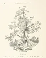An illustration from Die Insel Rhodus, aus eigener Anschauung und nach den vorhandenen Quellen historisch, geographisch, archäologisch, malerisch beschrieben und durch Originalradirungen und Holzschnitte nach eigenen Naturstudien und Zeichnungen illustrirt. F.P (1862)