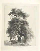 An illustration from Die Insel Rhodus, aus eigener Anschauung und nach den vorhandenen Quellen historisch, geographisch, archäologisch, malerisch beschrieben und durch Originalradirungen und Holzschnitte nach eigenen Naturstudien und Zeichnungen illustrirt. F.P (1862)