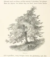 An illustration from Die Insel Rhodus, aus eigener Anschauung und nach den vorhandenen Quellen historisch, geographisch, archäologisch, malerisch beschrieben und durch Originalradirungen und Holzschnitte nach eigenen Naturstudien und Zeichnungen illustrirt. F.P (1862)