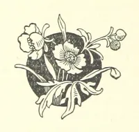 An illustration from Bachelor to the Rescue. [A novel (1894)