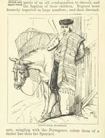 An illustration from The World's Inhabitants; or, Mankind, animals & plants ... With ... illustrations, etc (1889)