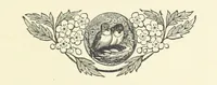 An illustration from The World's Inhabitants; or, Mankind, animals & plants ... With ... illustrations, etc (1889)