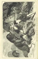 An illustration from The World's Inhabitants; or, Mankind, animals & plants ... With ... illustrations, etc (1889)