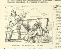 An illustration from The World's Inhabitants; or, Mankind, animals & plants ... With ... illustrations, etc (1889)