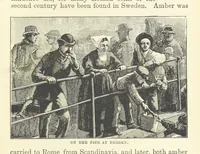 Picture 92 of 155 from The World's Inhabitants; or, Mankind, animals & plants ... With ... illustrations, etc (1889), leaf 181