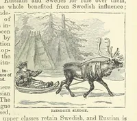 An illustration from The World's Inhabitants; or, Mankind, animals & plants ... With ... illustrations, etc (1889)