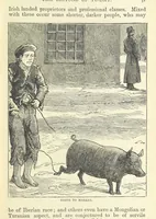 Picture 34 of 155 from The World's Inhabitants; or, Mankind, animals & plants ... With ... illustrations, etc (1889), leaf 65