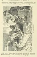 Picture 39 of 155 from The World's Inhabitants; or, Mankind, animals & plants ... With ... illustrations, etc (1889), leaf 78