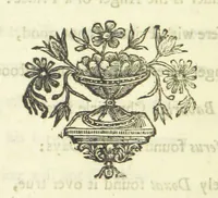 An illustration from Several Letters and Miscellany Poems ... The second edition, with an addition of many others. [With “An Appendix of Several Letters; or, Miscellany Poems.” (1742)
