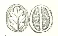 Picture 71 of 73 from L'Île de Rhodes, etc. [With a map (1881), leaf 640
