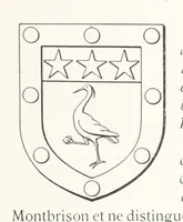 Picture 7 of 87 from Beaujolais-Forez-Dombes. Thizy et les environs. Armorial et notes généalogiques. Ouvrage orné de 380 gravures et rédigé d'après les notes éparses laissées par Étienne Mulsant, etc (1899), leaf 13