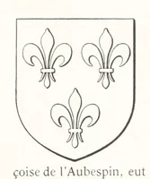 Picture 47 of 87 from Beaujolais-Forez-Dombes. Thizy et les environs. Armorial et notes généalogiques. Ouvrage orné de 380 gravures et rédigé d'après les notes éparses laissées par Étienne Mulsant, etc (1899), leaf 29