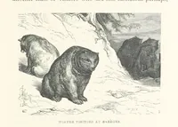 Picture 77 of 118 from The Pyrenees: a description of summer life at French watering places ... With ... illustrations by Gustave Doré, and a new map of the Central Pyrenees (1881), leaf 169