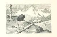 Picture 78 of 118 from The Pyrenees: a description of summer life at French watering places ... With ... illustrations by Gustave Doré, and a new map of the Central Pyrenees (1881), leaf 170