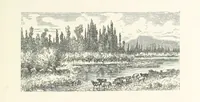 An illustration from The Pyrenees: a description of summer life at French watering places ... With ... illustrations by Gustave Doré, and a new map of the Central Pyrenees (1881)
