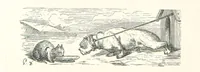 Picture 89 of 118 from The Pyrenees: a description of summer life at French watering places ... With ... illustrations by Gustave Doré, and a new map of the Central Pyrenees (1881), leaf 202