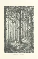 Picture 91 of 118 from The Pyrenees: a description of summer life at French watering places ... With ... illustrations by Gustave Doré, and a new map of the Central Pyrenees (1881), leaf 205