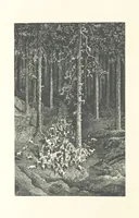 Picture 99 of 118 from The Pyrenees: a description of summer life at French watering places ... With ... illustrations by Gustave Doré, and a new map of the Central Pyrenees (1881), leaf 224