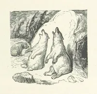 An illustration from The Pyrenees: a description of summer life at French watering places ... With ... illustrations by Gustave Doré, and a new map of the Central Pyrenees (1881)