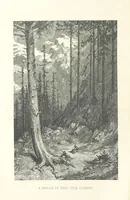 Picture 1 of 118 from The Pyrenees: a description of summer life at French watering places ... With ... illustrations by Gustave Doré, and a new map of the Central Pyrenees (1881), leaf 6