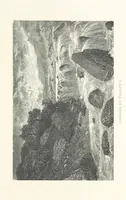 Picture 39 of 118 from The Pyrenees: a description of summer life at French watering places ... With ... illustrations by Gustave Doré, and a new map of the Central Pyrenees (1881), leaf 97