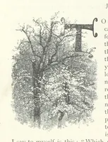 An illustration from Lorna Doone: a romance of Exmoor (1883)