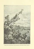 An illustration from Springhaven. A tale of the Great War ... Third edition (1888)