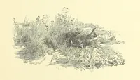 An illustration from Springhaven. A tale of the Great War ... Third edition (1888)